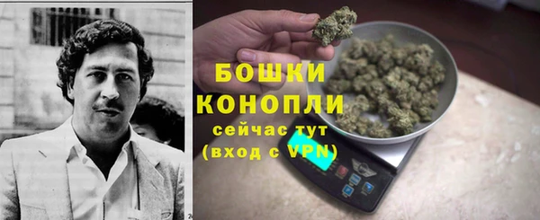 хмурый Вяземский