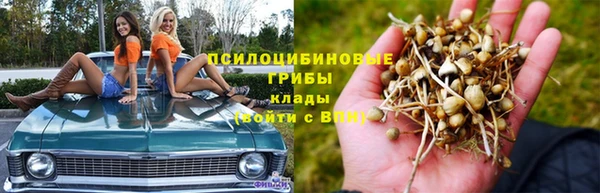 хмурый Вяземский