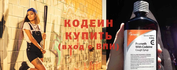 хмурый Вяземский