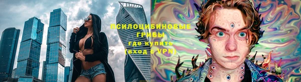 хмурый Вяземский