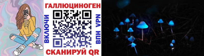 Псилоцибиновые грибы GOLDEN TEACHER сколько стоит Монино